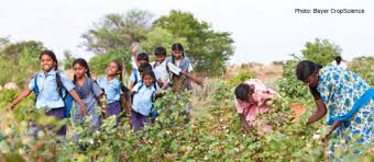 Child labour deprives children of their childhood and is harmful to their physical and mental development. The Sustainability Learning Forum Combating Child Labor In The Supply Chain In India