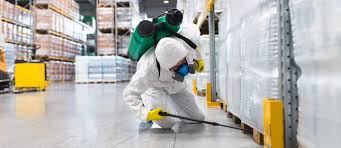 Mazaya has been working in the pest control in abu dhabi since 2008. Complete List Of Approved Pest Control Companies In Sharjah Mybayut