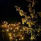 EarthSpirit Samhain Celebration 2025 (western MA) event image
