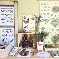 Birds Of The Air And Lilies Of The Field Pin On Charlotte Mason