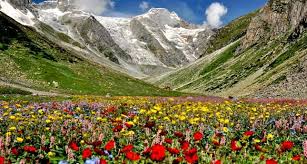 The local folklore also complements the aura of this valley. Top Reasons To Visit Valley Of Flowers Once In Life Visit Http Bit Ly 293tzyq Valleyofflowers Valley Of Flowers Best Landscape Photography Cool Landscapes