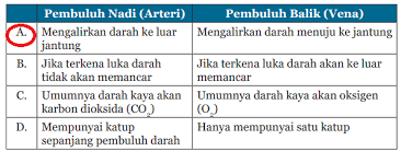 Kunci Jawaban Ipa Kelas 8 Halaman 283 286 Uji Kompetensi 6 Kosingkat