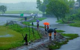 Heavy rain likely in Kerala till June 16, IMD sounds yellow alert in 12  districts, Kerala rain, monsoon