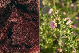 Put coffee grounds in your compost bin. 7 Great Ways To Use Coffee Grounds In The Garden