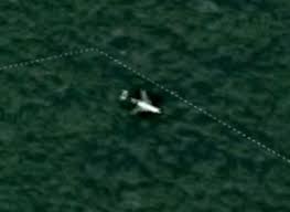 In march 2014, the boeing 777 this isn't the first time someone has claimed to have spotted mh370 on google maps (or, more specifically, google earth). Mh370 Location Is This Google Maps Cambodia Jungle Coordinate Of The Crash Site Weird News Express Co Uk
