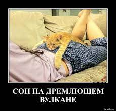 Забавные, смешные и классные демотиваторы из сети - Веселье без границ :) -  1 июля - 43860806685 - Медиаплатформа МирТесен