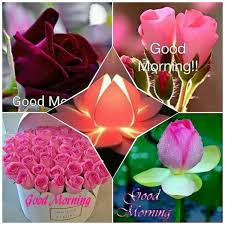 Life never seems to be the way we want it, but we live it the best way we can. Good Morning Wishes With Flowers Pictures Images Page 5