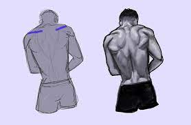 Maybe you would like to learn more about one of these? How To Draw The Human Back A Step By Step Construction Guide Gvaat S Workshop