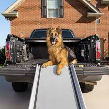 Discover home storage & organization products on amazon.com at a great price. Amazon Com Petsafe Happy Ride Extra Long Telescoping Dog Ramp Portable Pet Ramp Great For Cars Trucks And Suvs Durable Aluminum Frame Supports Up To 300 Lb Side