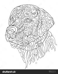 Pin On Dog Colouring Pages