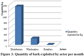 Image result for Scorodophloeus