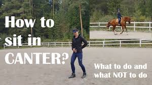 3 Ways To Ride A Horse At Walk, Trot, And Canter - Wikihow