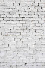 Aesthetic png background of palm leaf. Aesthetic White Brick Wall Tumblr Novocom Top