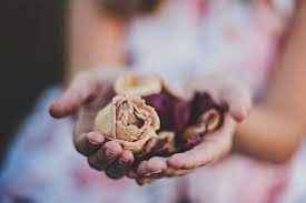 How the flowers should be presented. How To Preserve Your Funeral Roses And Make Meaningful Mementos