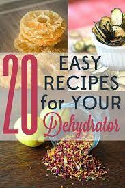 20 Easy Recipes To Make With Your Food Dehydrator Dehydrator Recipes Dehydrator Dehydrated Food
