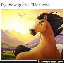 Funny Memes 60 Pics Funnymemes Funnypictures Humor Funnytexts Funnyquotes Funnyanimals Funny Lol Haha Memes E Spirit The Horse Funny Memes Horses