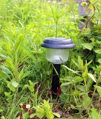 Solar Power Landscape Lights Vs Wired Solar Energy Diy Landscape Lighting Solar Power Diy