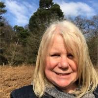 Carol Singleton Email & Phone Number