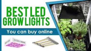 We did not find results for: 10 Best Led Grow Lights In 2021 For Indoor Growing High Times Reviews