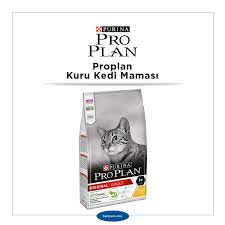 Kaliteli Beslenmek Her Kedinin Hakki Istah Kabartan En Iyi 6 Kedi Mamasi