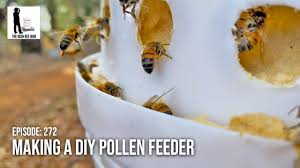 During the early spring, you'll want to mix 1 liter of water with 8 cups of plain white sugar. The Bush Bee Man Diying Pollen Bee Feeders Very Cool Close Ups Of Bee Feeding The Bush Bee Man Facebook
