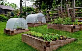 Good Raised Bed Example On A Slope Garten Gewachshaus Gartengestaltung Gemusegarten Anlegen