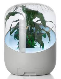 Andrea Plant Based Home Purifier Accelerates Clean Air Circulation Mathieu Lehanneur Idees Pour La Maison Purifier