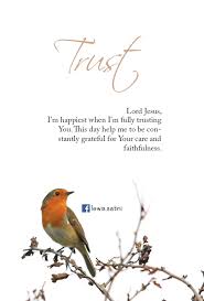 Bird Doesn T Care About Being Eaten Look At The Birds They Don T Worry About What To Eat They Don T Need To Sow Or Reap Or Store Up Food For Your Book Of Matthew Verse Of The Day Heavenly Father