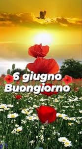 Terry Rizzi (rizzi0581)