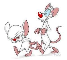 Animation) о двух лабораторных мышах, шедший на экранах с сентября 1995 по ноябрь 1998 г. 82 Pinky And The Brain Ideas Pinky Animaniacs Brain