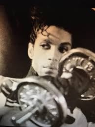 Happy Sunday from Kingy & Prince 💕