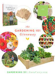 You'll also save money by buying less from the grocery store. Gardening 101 Part 3 Garden Plans And A Garden Giveaway Lara Casey Garden Planning Gardening 101 Home Vegetable Garden