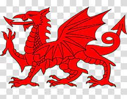 Red Dragon Illustration Flag Of Wales Uther Pendragon Welsh Dragon Western Dragon Transparent Background Png Dragon Illustration Red Dragon Dragon Tattoo Ink
