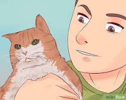 When faced with this decision many years ago with my first cat, a very good vet asked me the question: How To Know When To Euthanize Your Cat With Pictures Wikihow