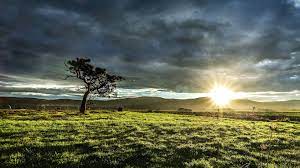 Find your perfect nature wallpaper for your phone, desktop, website and more! Ultra Hd 4k Resolution Desktop Ultra Hd Pc Wallpaper 4k