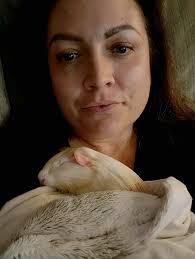 Cute kitten waits patiently for daughter to come home