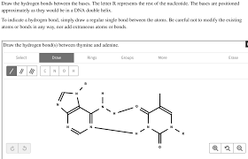 Solved: Draw The Hydrogen Bonds Between The Bases. The Letter R Represents  The Rest Of The Nucleotide. The Bases Are Positioned Approximately As They  Would Be In A Dna Double Helix: To