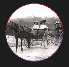Bombay Display Board: Colonials — NSW Landcare Gateway