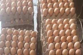 It is located on the island of java. Update Harga Telur Ayam Sepulau Jawa 1 Oktober 2020 Wilayah Jawa Timur Termurah Kabar Lumajang