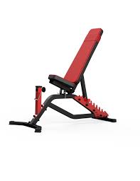 Banc De Musculation Semi Pro Multi Reglable Avec Option Leg Extension Et Pupitre A Biceps
