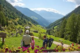 We did not find results for: Der Hofschank Waldlechn Liegt Direkt Am Ahrntaler Sonnenweg Hofschank Waldlechn Steinhaus Ahrntal Sudtirol
