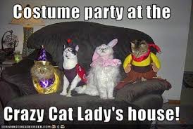 11 Best Pics Of The Crazy Cat Lady Meme Cat Lady Meme Crazy Cat Lady Halloween Crazy Cats