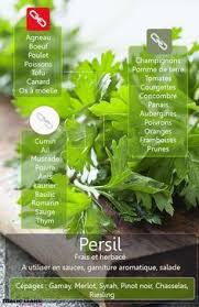 Epingle Sur Herbes Aromatiques Epices