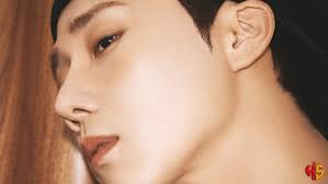 Kim Sung Kyu Sales Summary