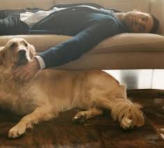 Adam Levine With Puppy Dog Adam Levine Maroon 5 Adams
