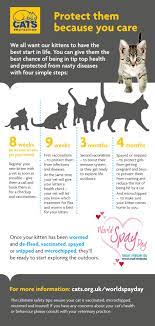 Suttoncatsprotection Kitten Care Cat Health Cats