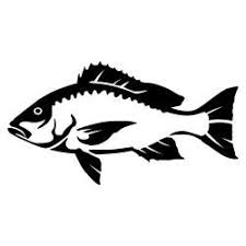 Black And White Saltwater Fish Clipart Red Snapper Wall Decal Kartiny Uzory Idei Dlya Doma