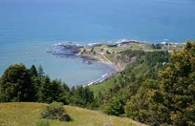 We did not find results for: Shelter Cove California On The Lost Coast