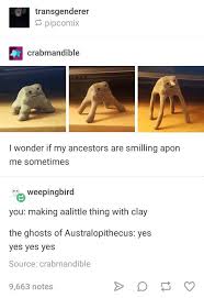 I Cackled I Hope My Sweet Bby Sees This Memes Funny Me Tumblr Funny