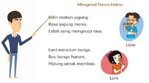 Maybe you would like to learn more about one of these? Gambar Animasi Panca Indra Shefalitayal